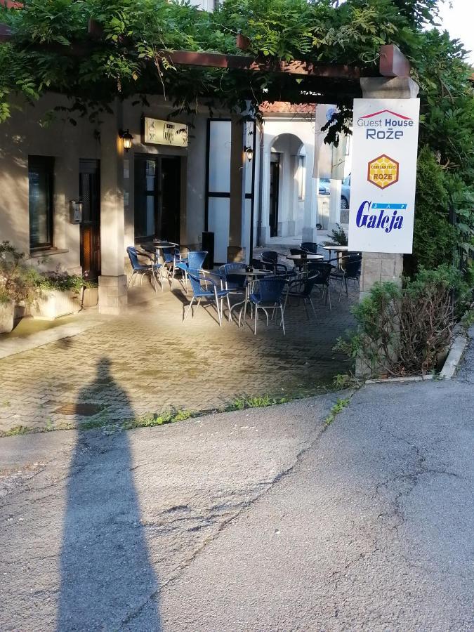 Guest House Roze イリルスカ・ビストリツァ エクステリア 写真